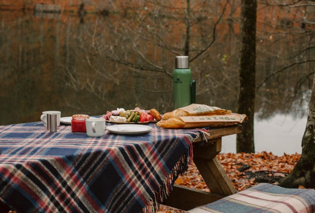 Wood picnic table with a blue and red plaid table cloth and an assortment of food sitting in a wooded area next to a lake.