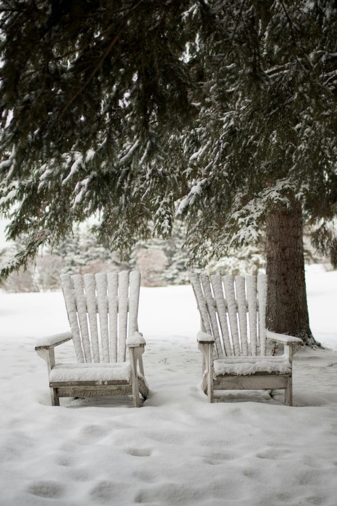 2 wood chairs covered in snow with a large tree in the background.