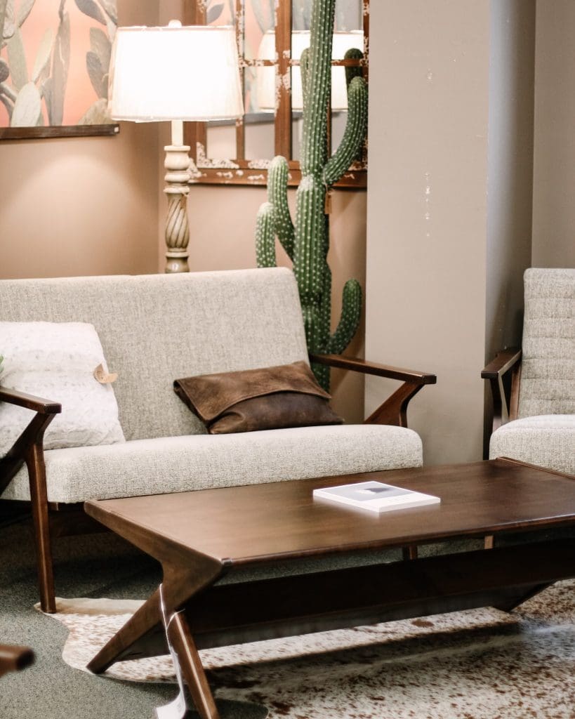 Living room with a hardwood coffee table, an off-white and dark brown sofa, a beige floor lamp, and an indoor cactus plant.